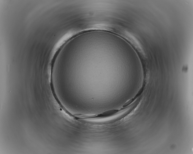 X0000094171180200710261102