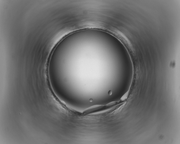 X0000094171182200710261102