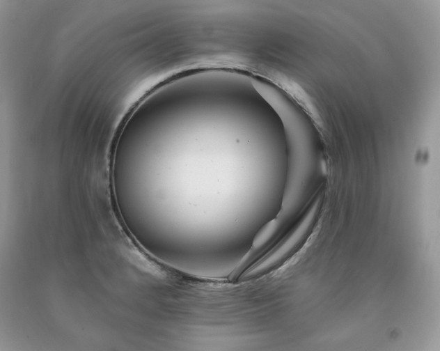 X0000094171184200710261102