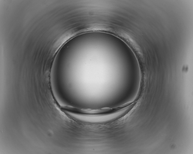 X0000094171185200710261102