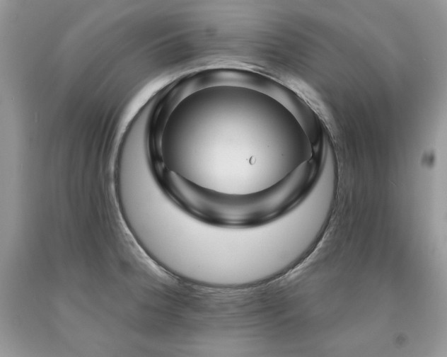 X0000094171188200710261102