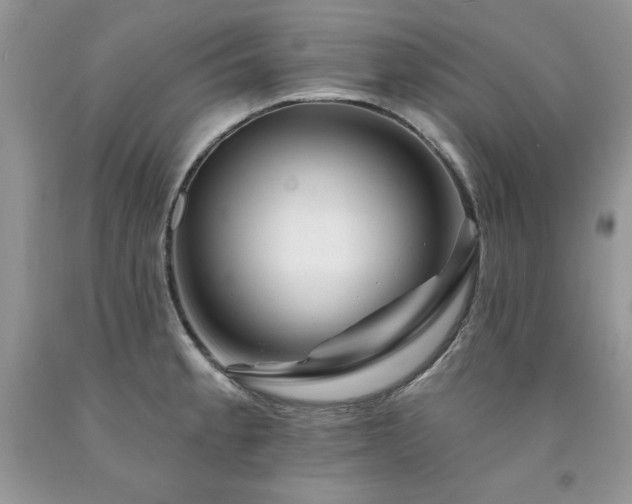 X0000094171189200710261102