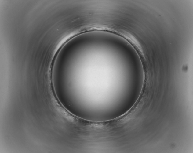 X0000094171190200710261102