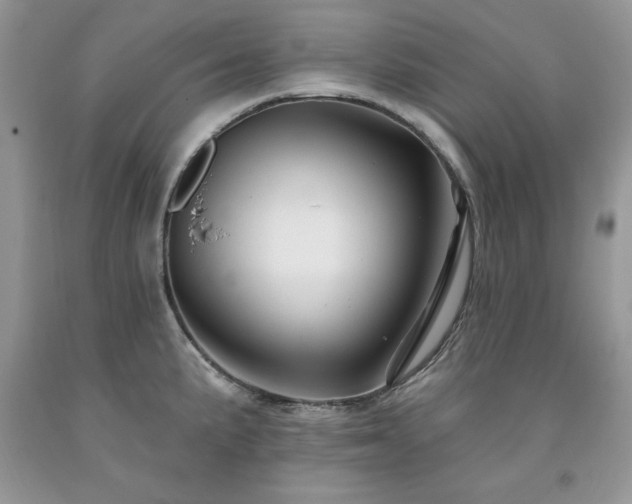X0000094171191200710261102