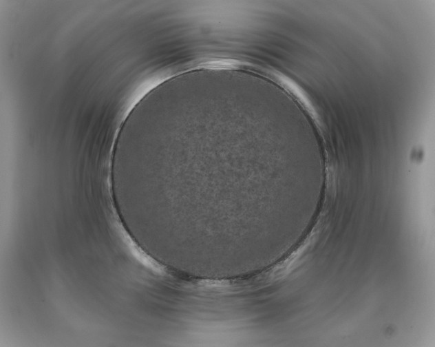 X0000094171194200710261102