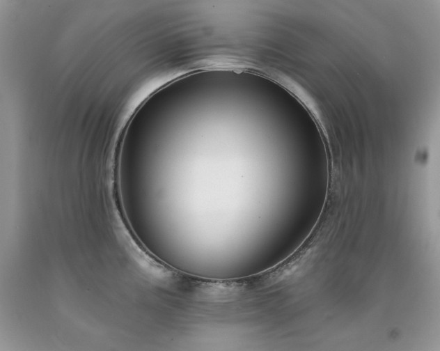 X0000094171195200710261102