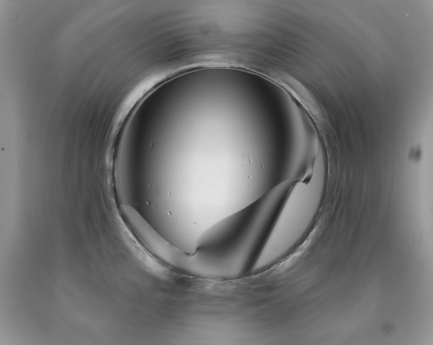 X0000094171196200710261102
