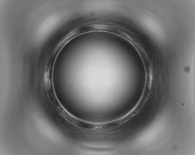 X0000094171198200710261102