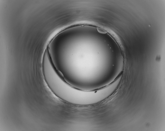 X0000094171199200710261102