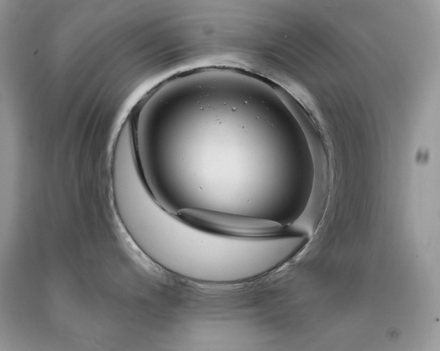 X0000094171200200710261101