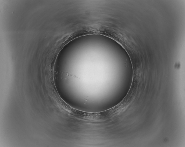 X0000094171201200710261101