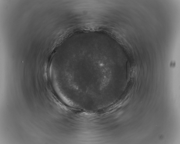 X0000094171202200710261101
