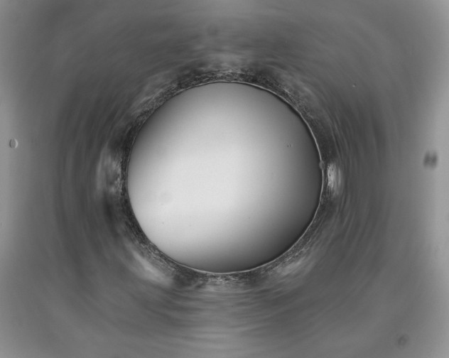 X0000094171203200710261101