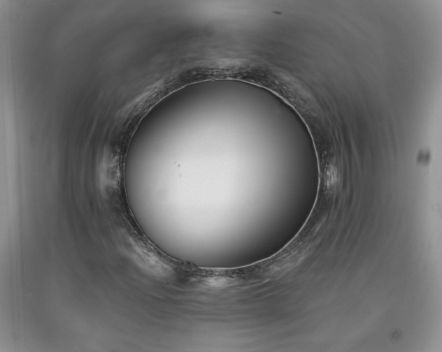 X0000094171204200710261101