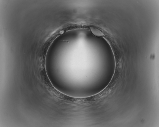 X0000094171205200710261101