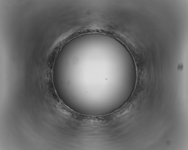X0000094171207200710261101