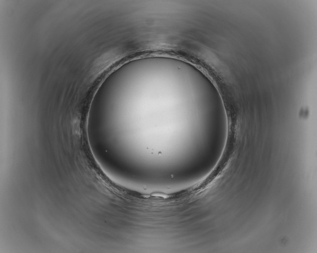 X0000094171209200710261101