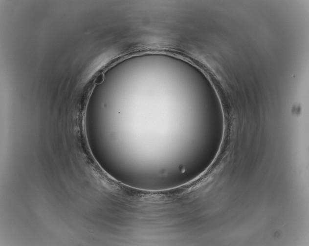 X0000094171211200710261101