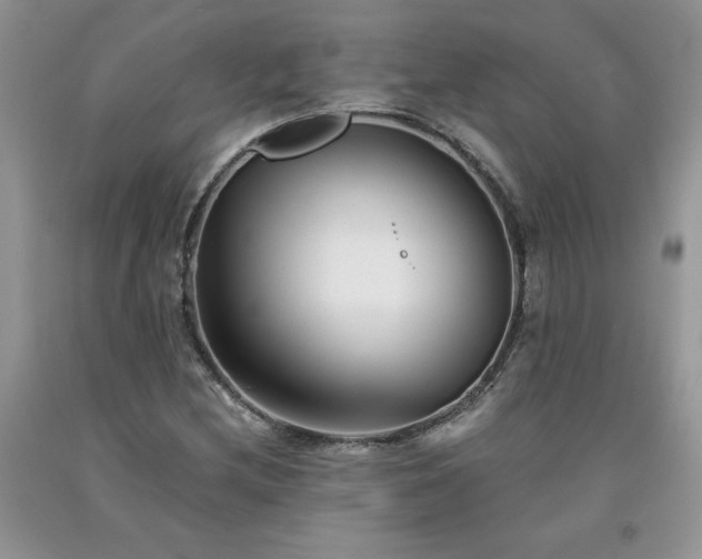 X0000094171212200710261101