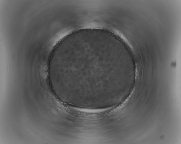 X0000094171213200710261101