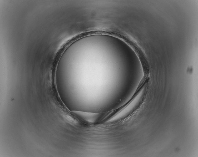X0000094171214200710261101