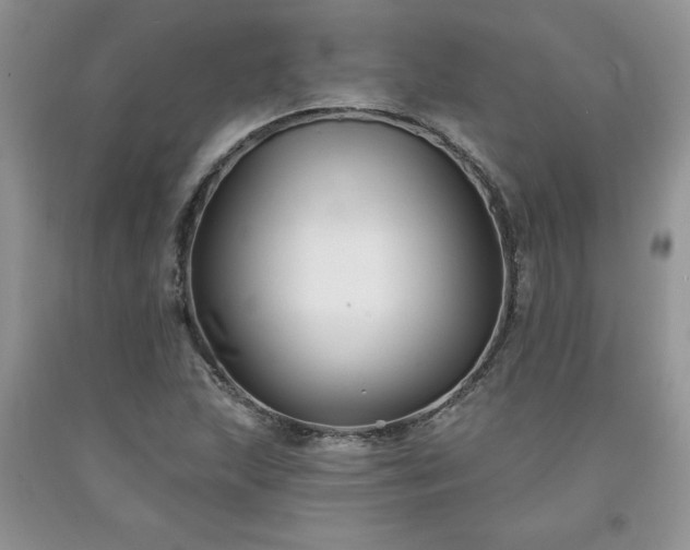 X0000094171215200710261101