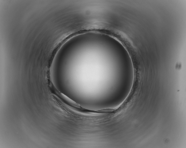 X0000094171217200710261101