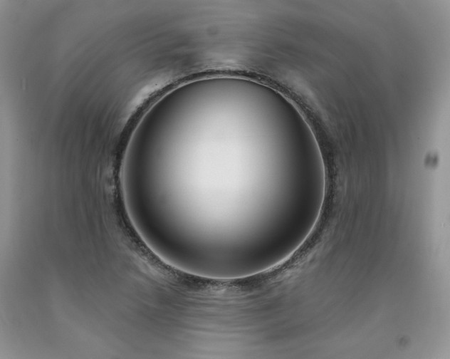 X0000094171218200710261101