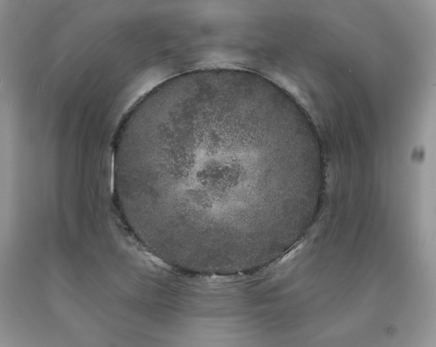 X0000094171219200710261101