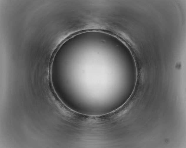 X0000094171220200710261101