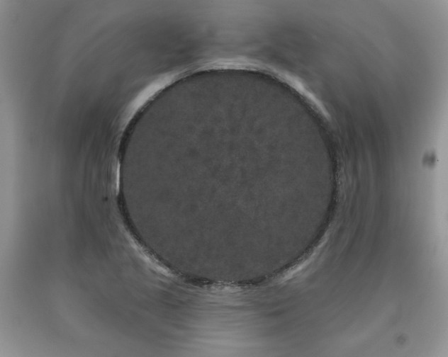 X0000094171221200710261101
