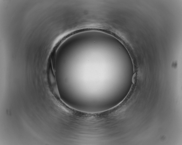 X0000094171222200710261101