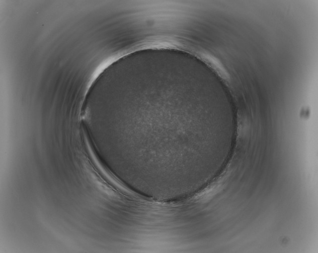 X0000094171226200710261101