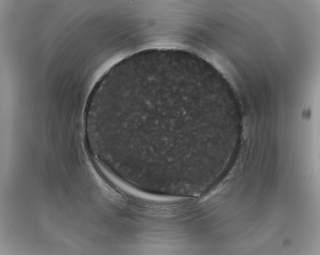 X0000094171229200710261101