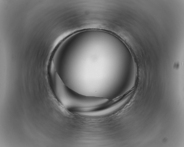 X0000094171230200710261101