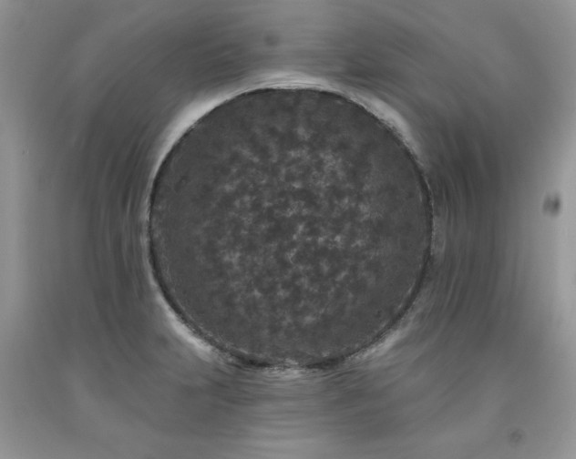 X0000094171231200710261101