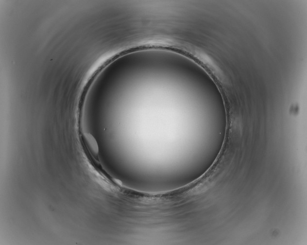 X0000094171232200710261101
