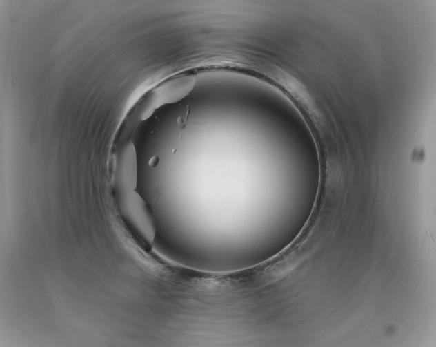 X0000094171234200710261101