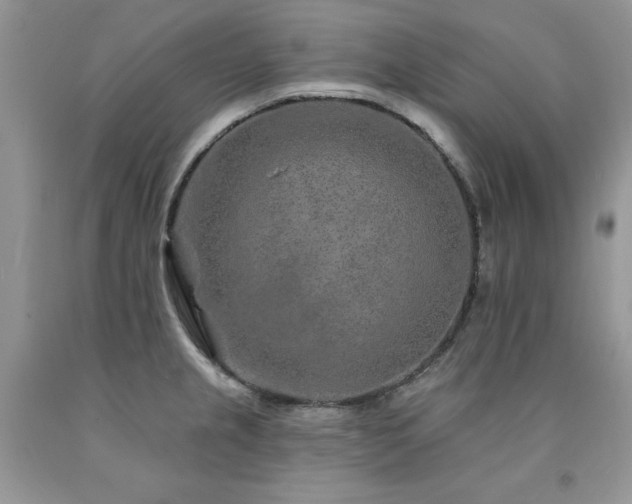 X0000094171237200710261101