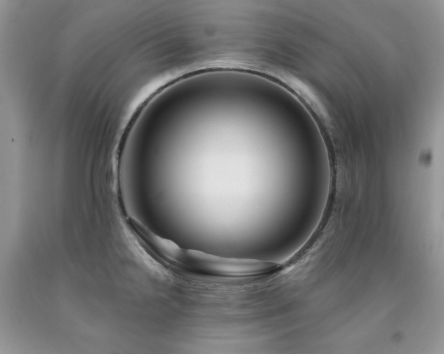 X0000094171238200710261101