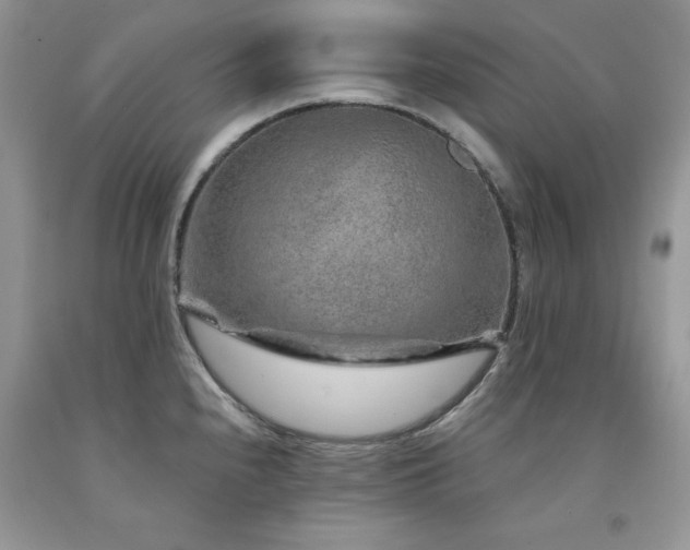 X0000094171240200710261101