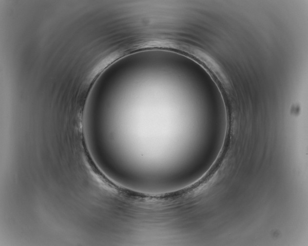 X0000094171241200710261101
