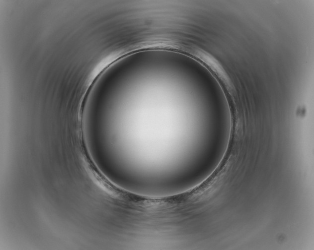 X0000094171242200710261101