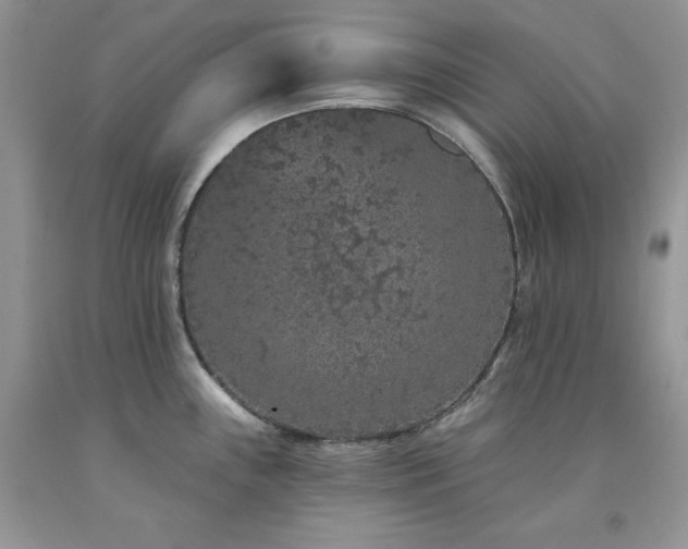 X0000094171243200710261101