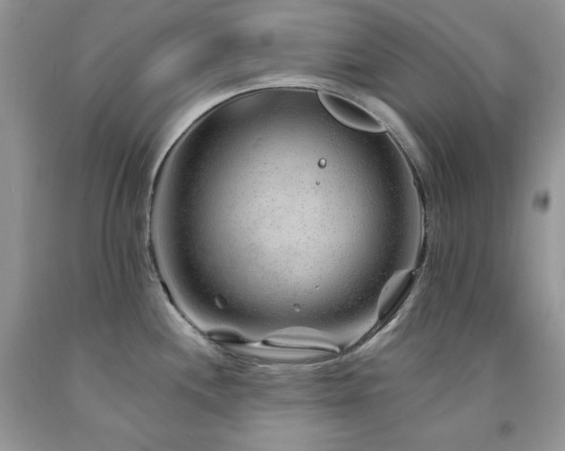 X0000094171244200710261101