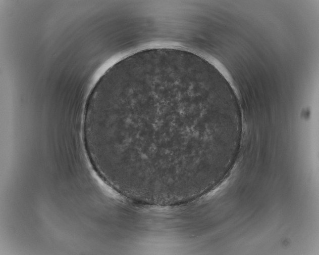 X0000094171245200710261101