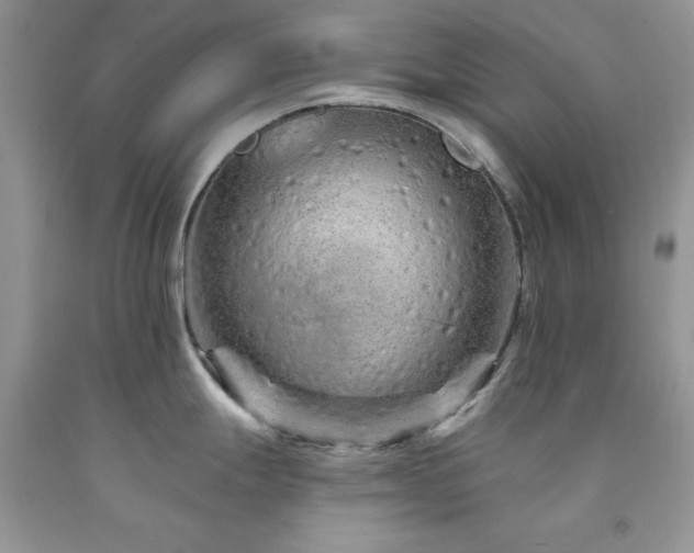 X0000094171247200710261101