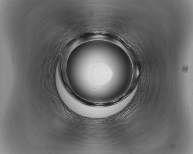 X0000094171249200710261101