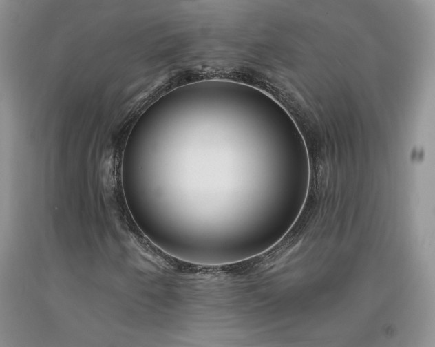 X0000094171250200710261101