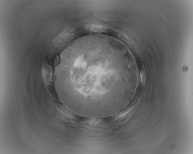 X0000094171251200710261101